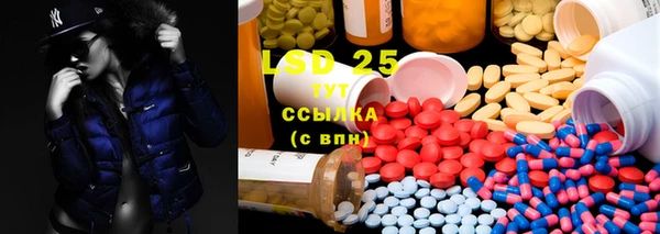 шишки Козловка