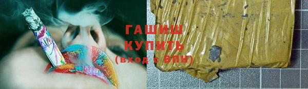 дживик Козельск
