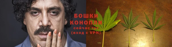 дживик Козельск