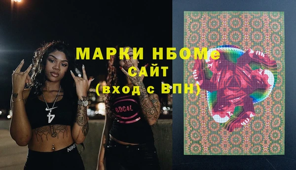 дживик Козельск