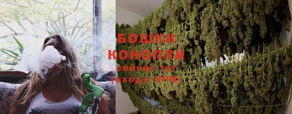 дживик Козельск