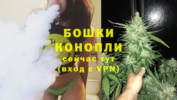 шишки Козловка