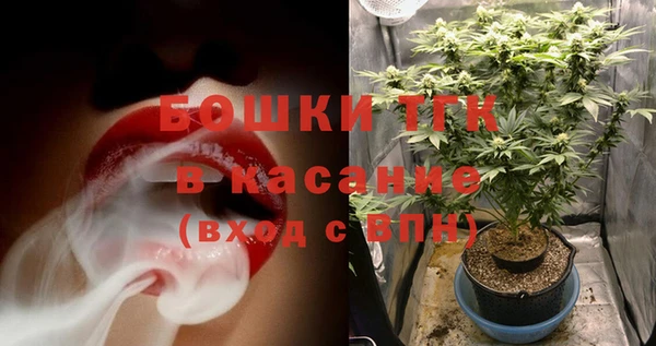 шишки Козловка