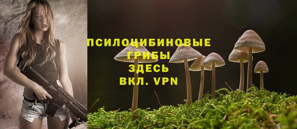 шишки Козловка