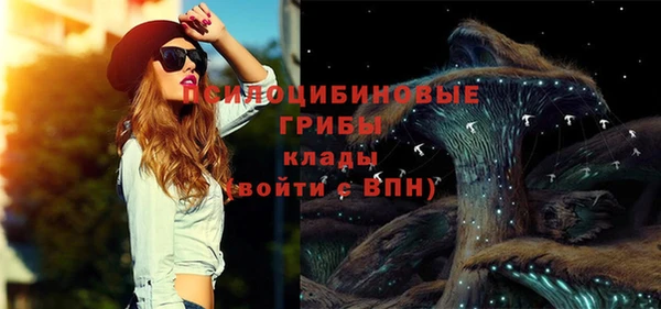 дживик Козельск