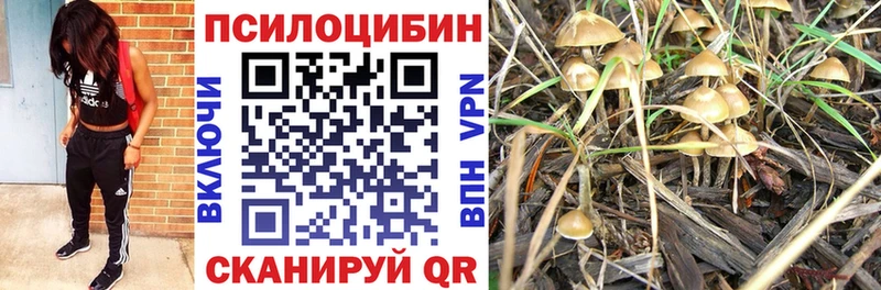 Псилоцибиновые грибы MAGIC MUSHROOMS  Купить  Карабаш 